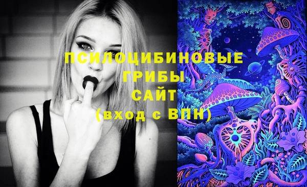 ГАЛЛЮЦИНОГЕННЫЕ ГРИБЫ Армянск