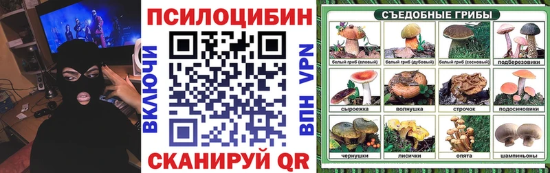 Псилоцибиновые грибы мухоморы Спас-Клепики